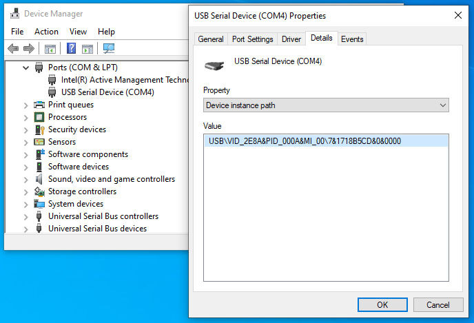 Windows Device Manager - USB serial device