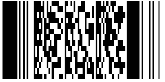 PD417 bar code